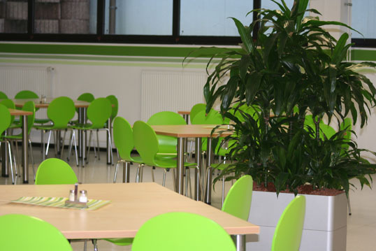 kantine-gr�n-4.jpg
