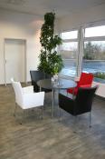 kantine_bistro_loungeeinrichtung_loungeelemente_lederstuehle_schwarz_weiss_rot_hydrokulturen_6.jpg