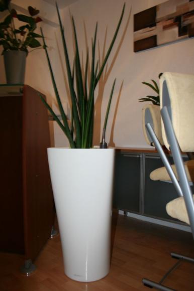 kantine_kantinenstuehle_(577).jpg