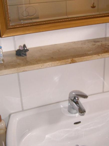 haus_wuppertal_doenberg_(12).jpg
